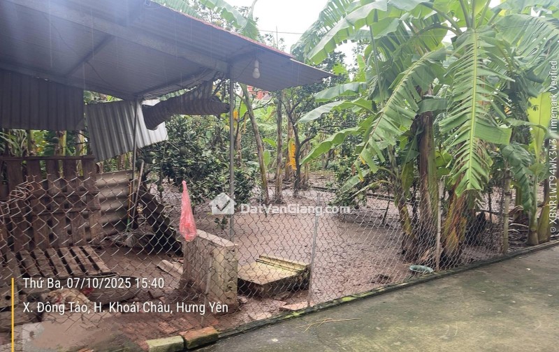 Bán đất Đông Tảo Khoái Châu 195,8m² gần Vành Đai 4, cạnh SunGroup, đường ô tô, vị trí đẹp giá đầu tư